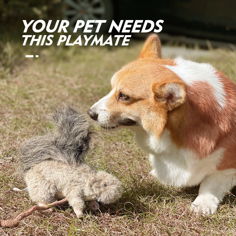 New Wear-Resistant Plush Sound Dog Toys Simulation Squirrel Pet Supplies
