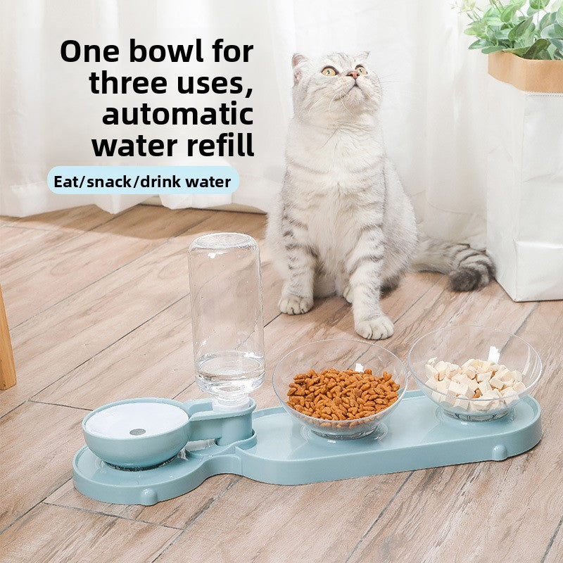Elevated Cat Food Bowl 3 in 1 Automatic Water Feeder Tilted Design for Neck Relief Slow Feeding Transparent Double Pet Bowl for Cats and Small Dogs