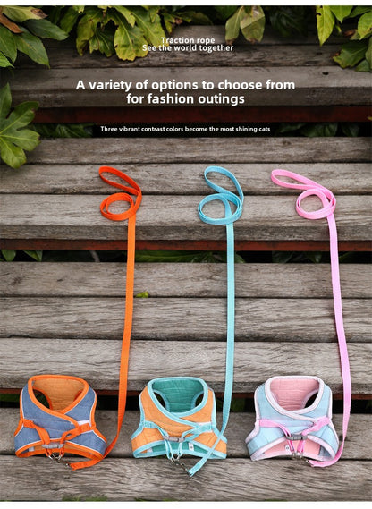 Pet Harness Leash for Safe Outdoor Adventures