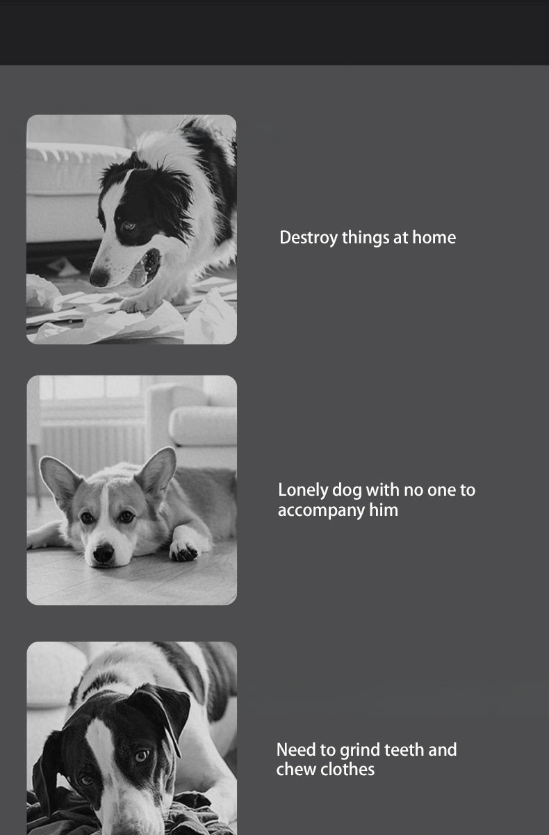 Interactive Self Entertainment Dog Ball Toy with Sound Boredom Relief for Dogs and Cats Fun Pet Supplies for Playtime and Exercise