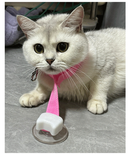 Professional Cat Bathing Restraint System Adjustable Grooming Strap with Strong Suction Cups Anti Movement Safe Cleaning Tool for Cats and Small Dogs