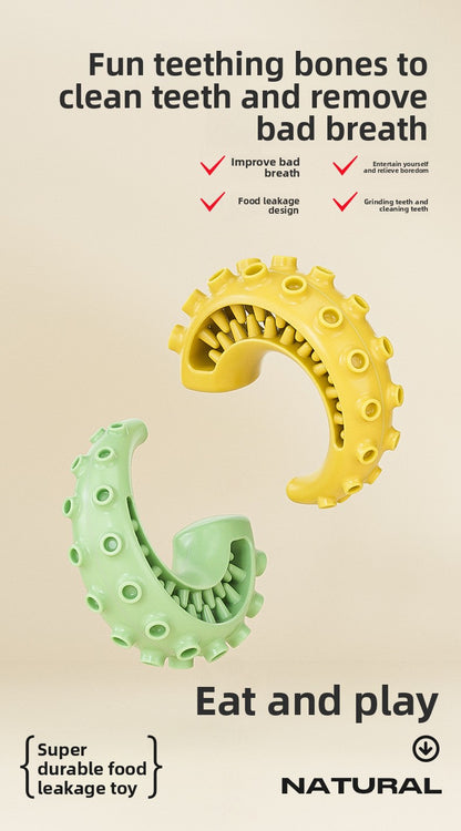 Rubber Spiked Bone Pet Toy New Design for Dog Teeth Grinding Chew Supplies