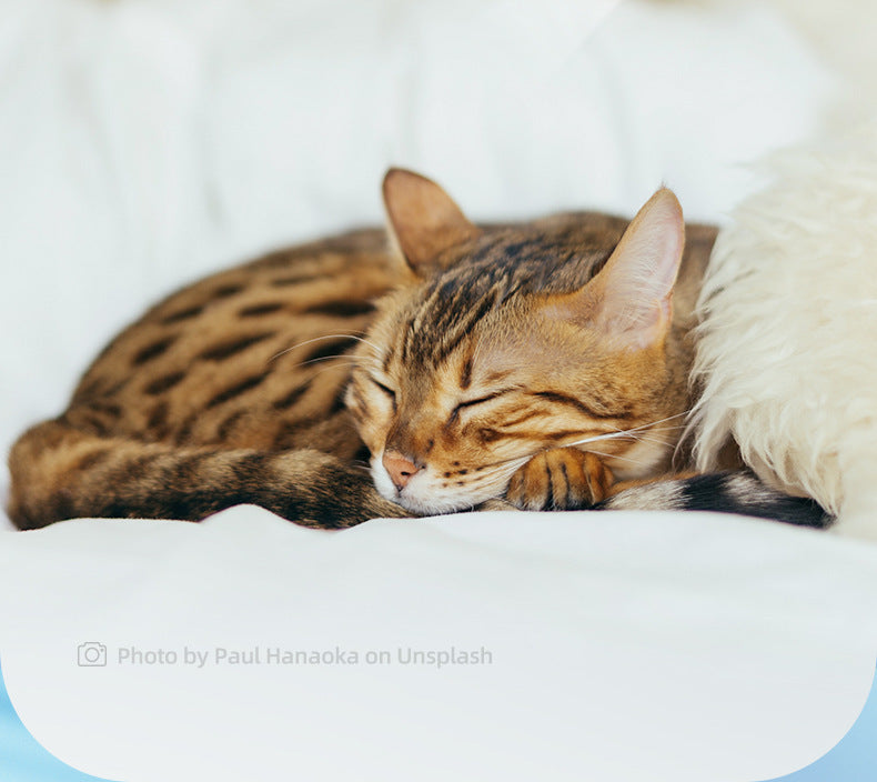 LED Light Pet Hair Trimmer Dog Cat Paw Hair Trimmer Paw Sole Hair Clipper Dog Hair Clipper