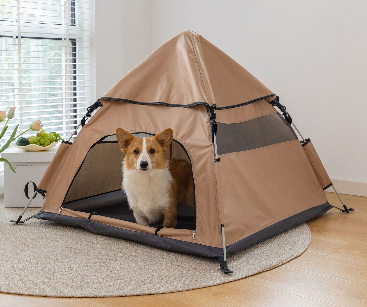 Portable PET tent for outdoor camping