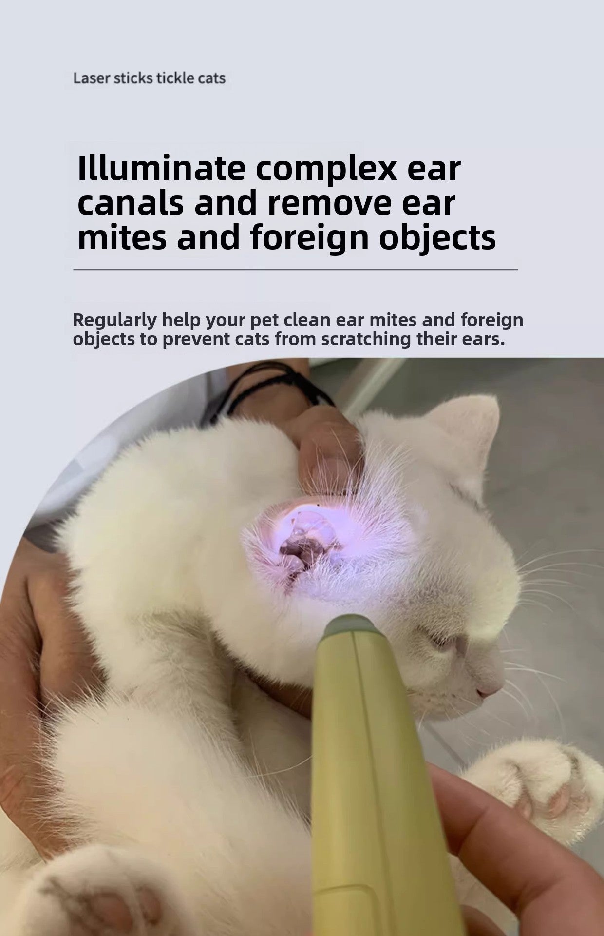 Pet Nail Clippers Cat Nail Clippers with Light Nail Cutter Rabbit Dog Cat Claw Special Beginner Pet Nail Clippers