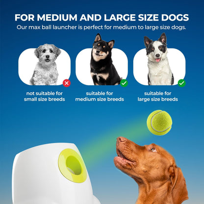 Large Dog Automatic Ball Launcher 6.5cm Tennis Ball Machine Pet Indoor Outdoor Training Tool