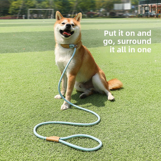 Pet Explosion-proof Dog Leash for Large Dogs