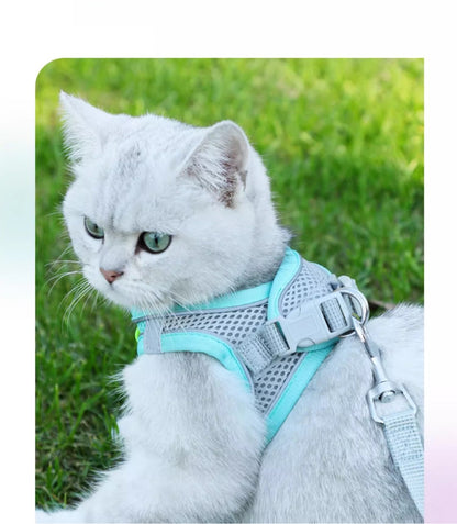 Cat Leash Cat Harness Cat Chest Harness Cat Walking Leash Vest Style Pet Chest Harness P-String Reflective Cute Cat
