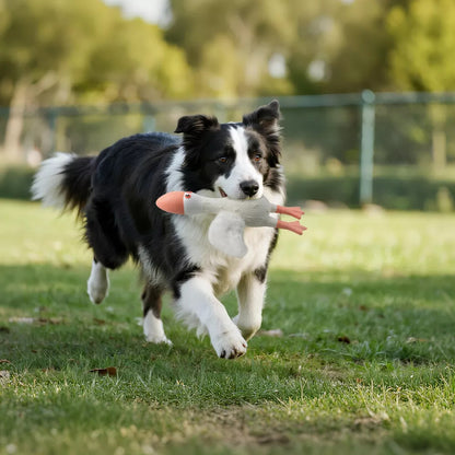 Squeaky Plush Wing Dog Toy PU Foam Chew for Teeth Cleaning