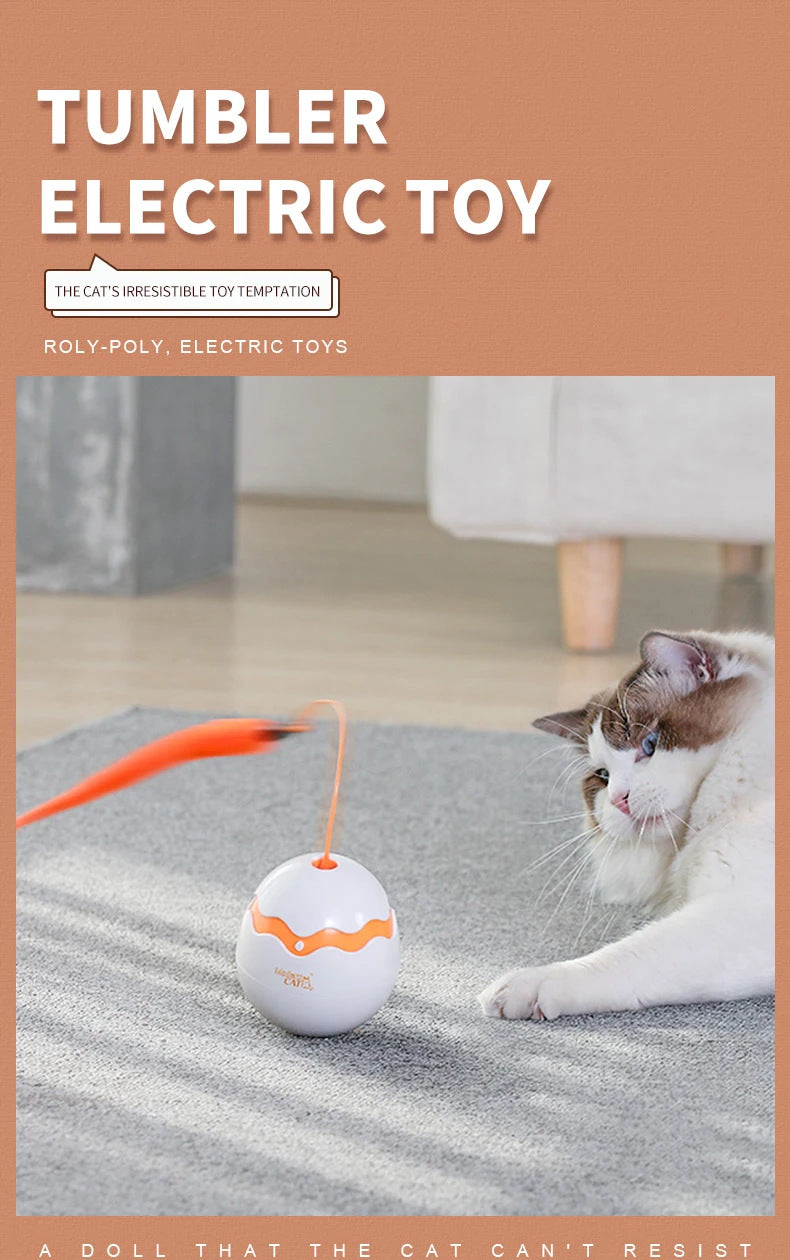 360 Degree Irregular Spin Cat Teaser Dinosaur Egg Toy