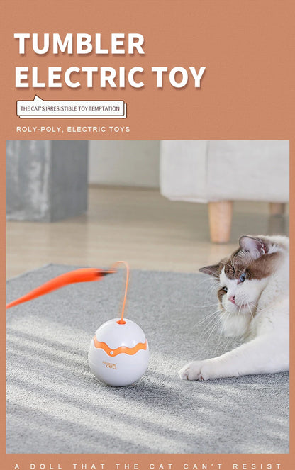 360 Degree Irregular Spin Cat Teaser Dinosaur Egg Toy