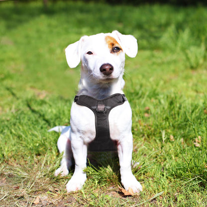 Pet Harness Explosion Proof Vest Style Dog Walking Leash Chain for All Sizes